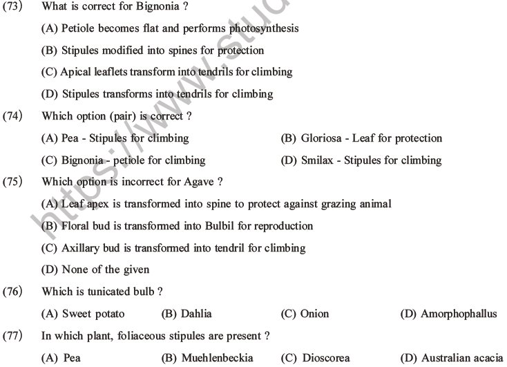 NEET Biology Morphology Of Plants MCQs Set A, Multiple Choice Questions